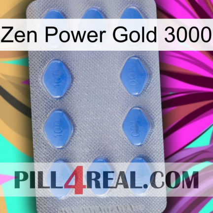 Zen Power Gold 3000 21